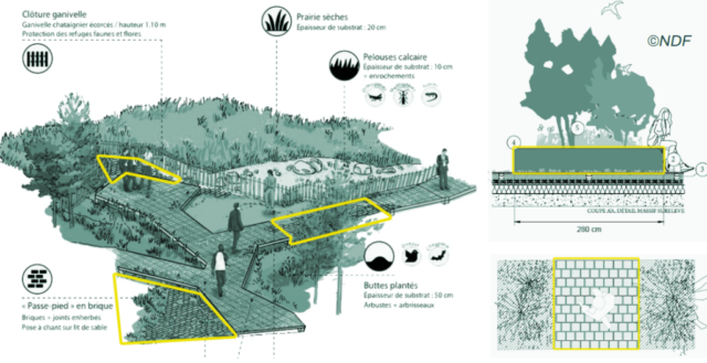 image_2025-07-15_101945546