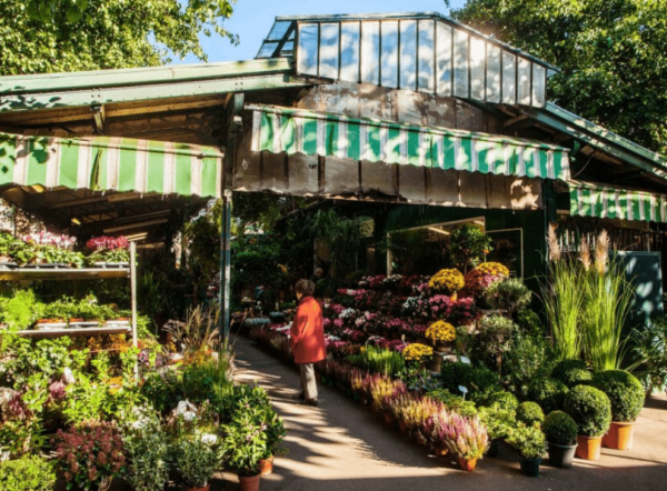 MARCHÉ AUX FLEURS