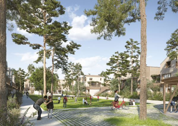 ZAC CARES CANTINOLLE ÎLOT C7